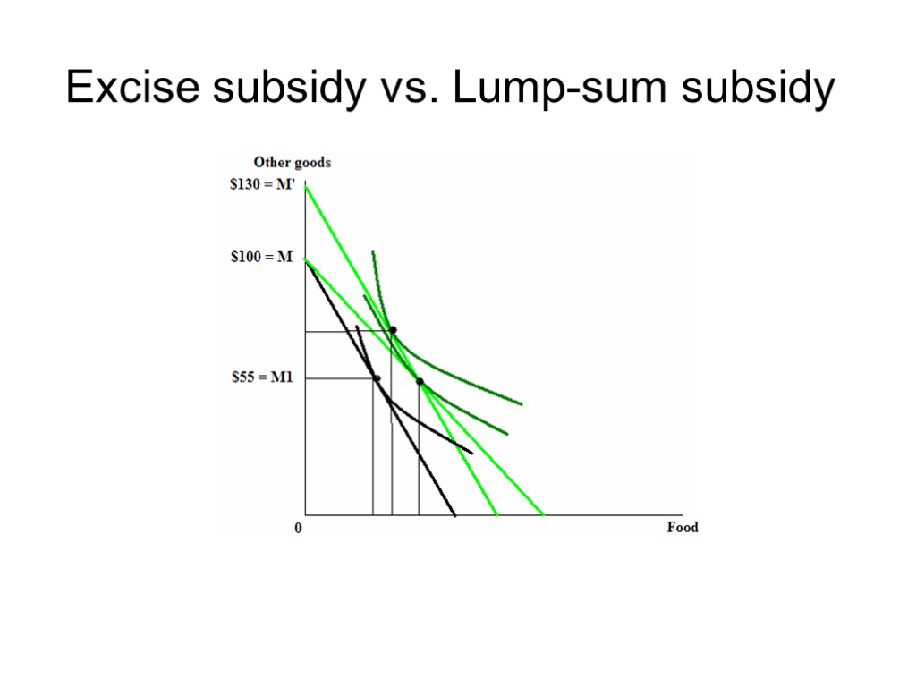 Excise subsidy vs. Lump-sum subsidy